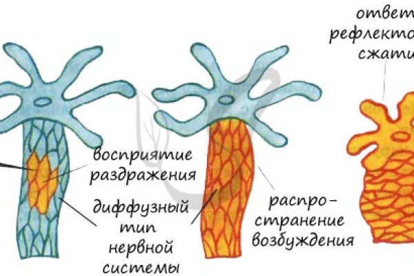 Кракен официальный сайт 2krnk cc